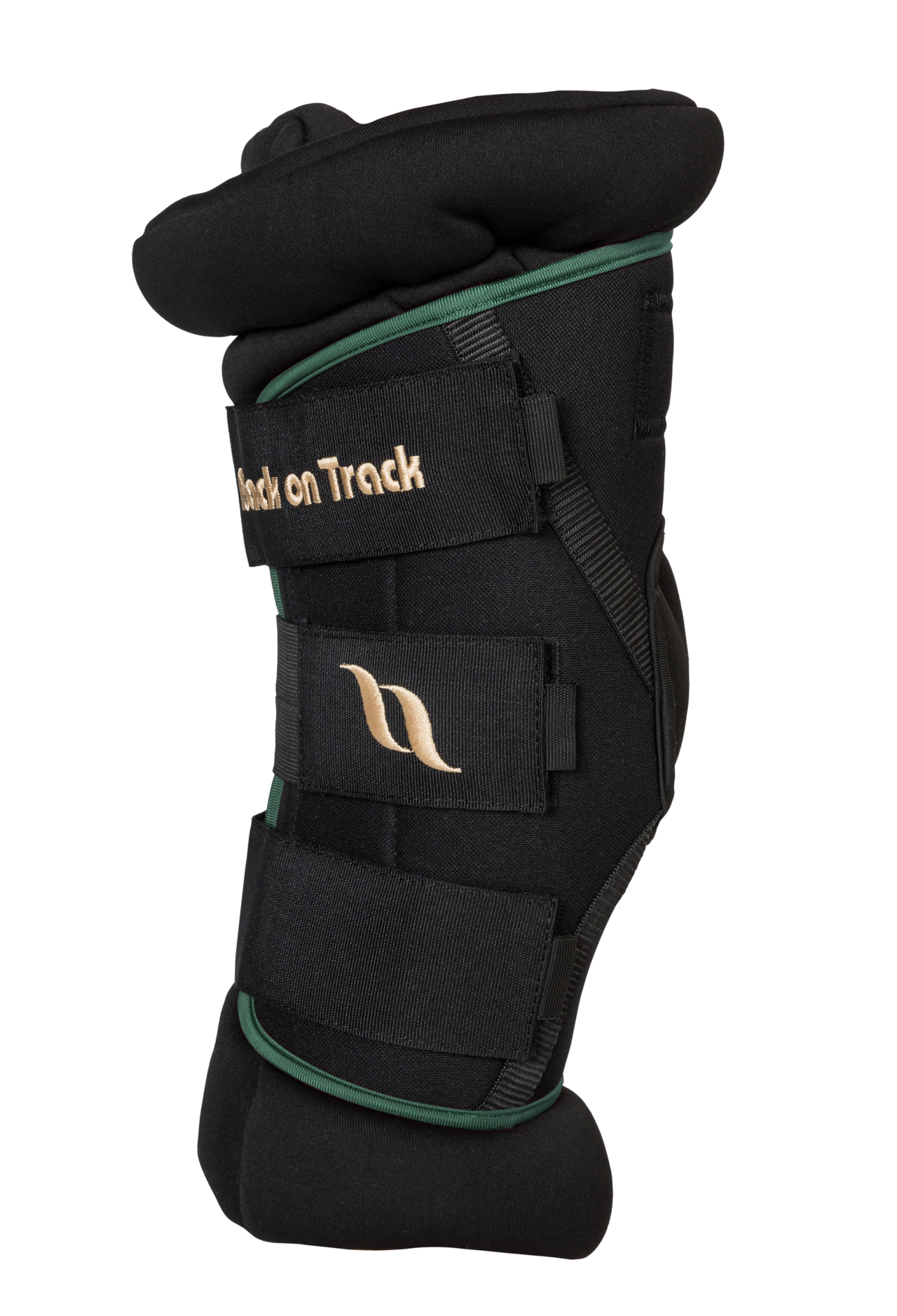 Royal Padded Hock Boots Deluxe