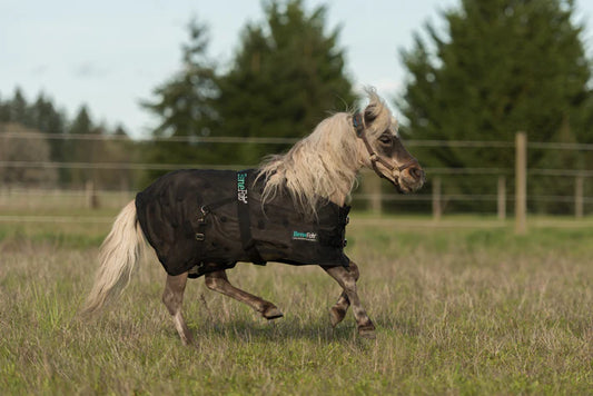 Miniature Horse Therapy Blanket