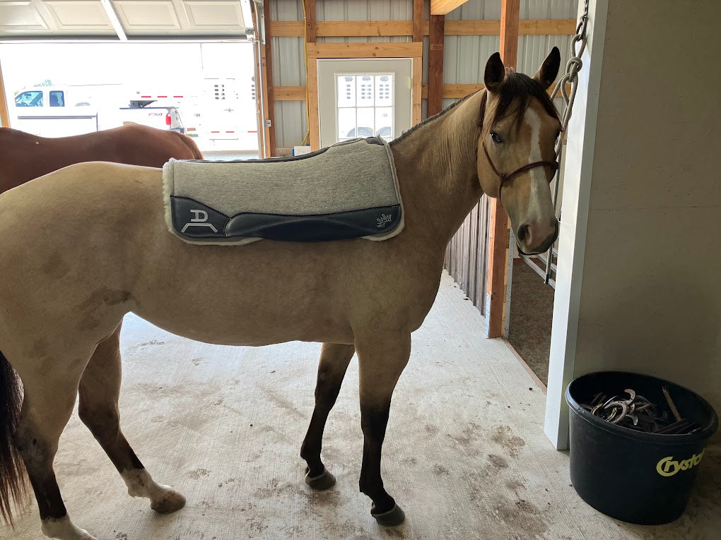 Special Order Saddle Pads