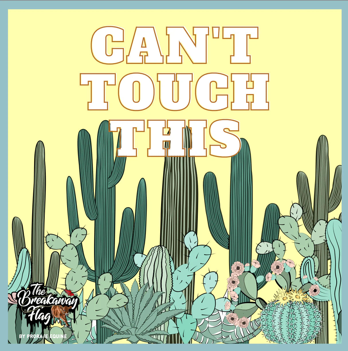 Breakaway Flags High School /Junior High Open / College / Pro Breakaway Flags