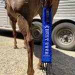 Best Ever Velcro Tailbags