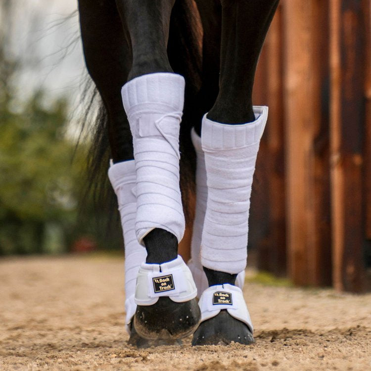 CLEARANCE * Scandic PK Wraps