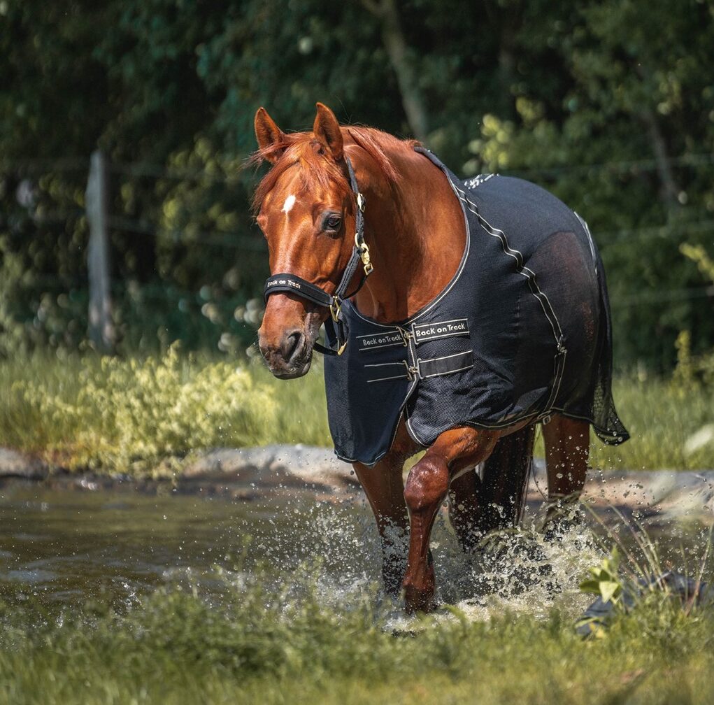 Sienna Mesh Cooler