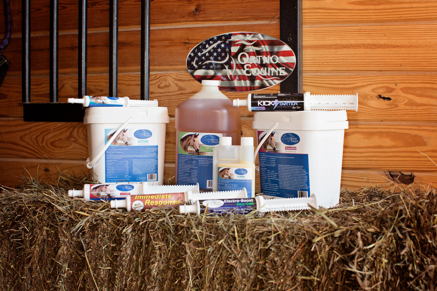 ORTHO EQUINE