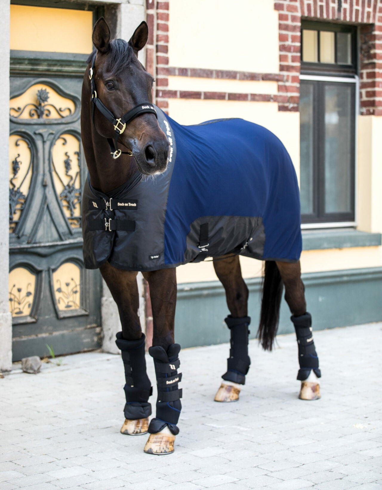 Wraps Deluxe Royal Quick Wraps Deluxe – Renegade Cowgirls