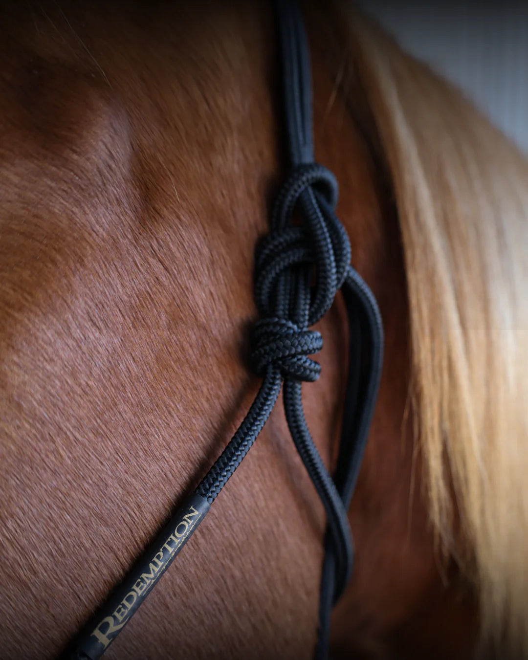 Redemption Rope Halters