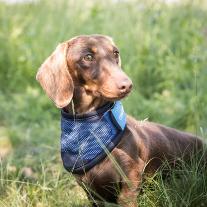 Cool on Track Bandana