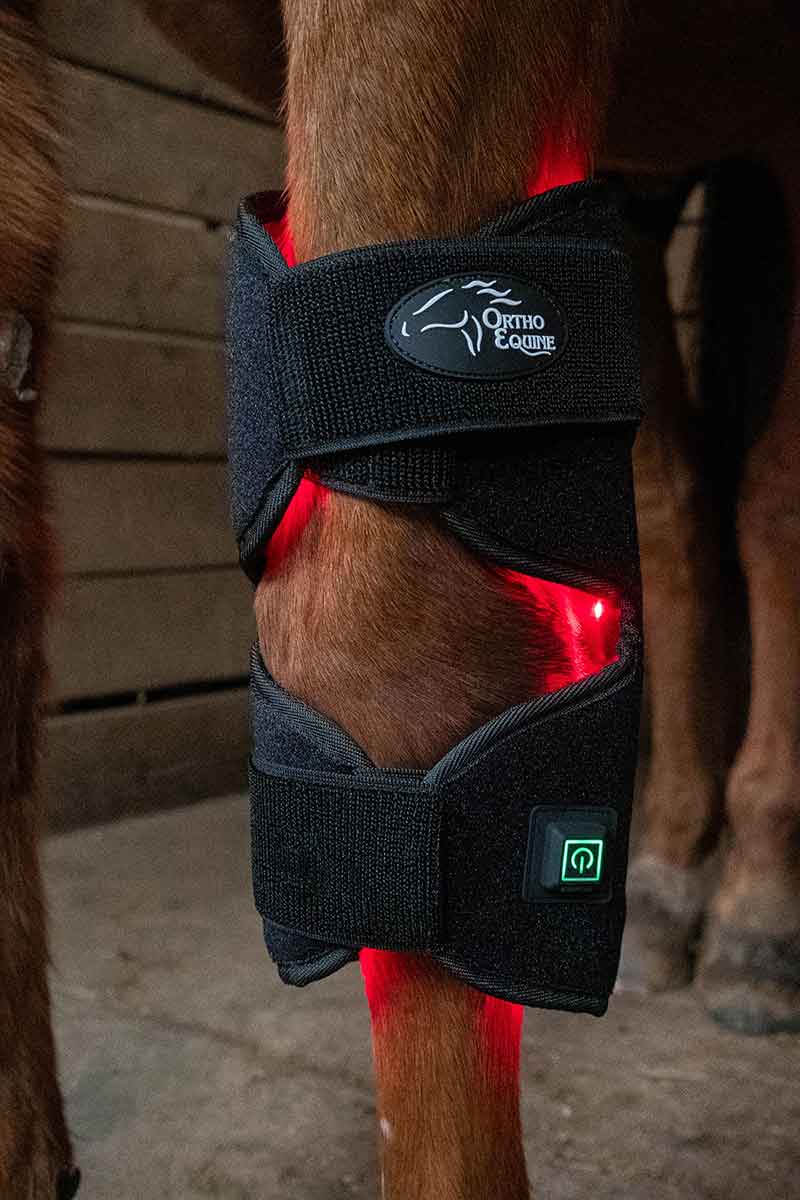 Red Light Therapy Horse Hock Wrap