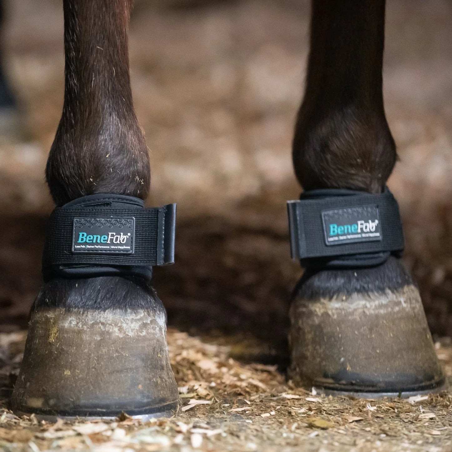 Therapeutic Pastern Wraps