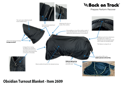 Obsidian 150g Black Turnout Blanket w/Neck Cover