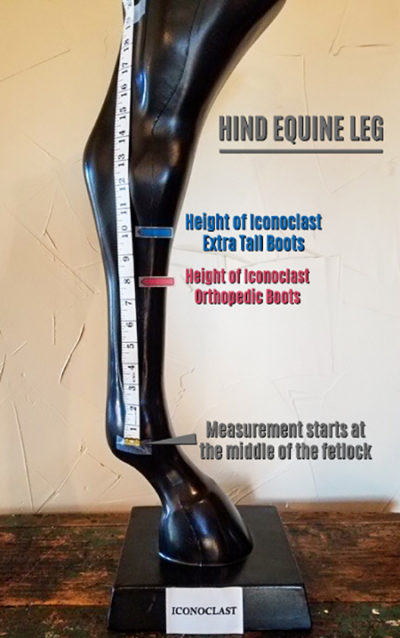 Iconoclast Extra Tall Boot Hind