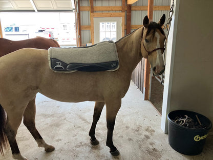 Special Order Saddle Pads