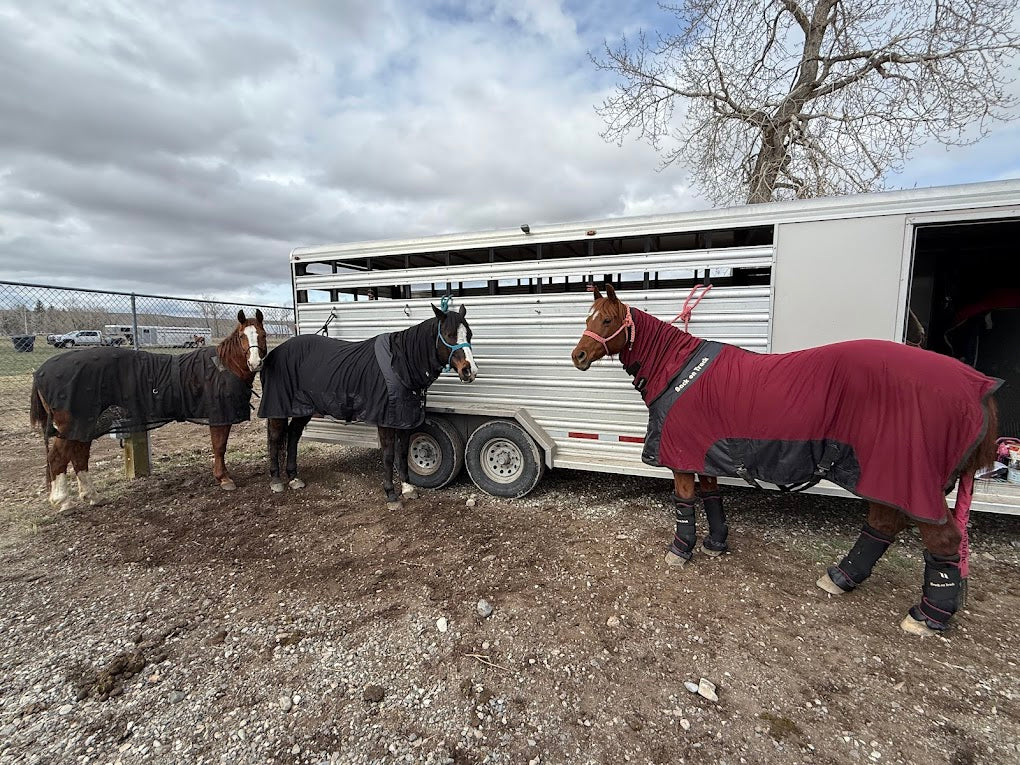 Rejuvenate SmartScrim