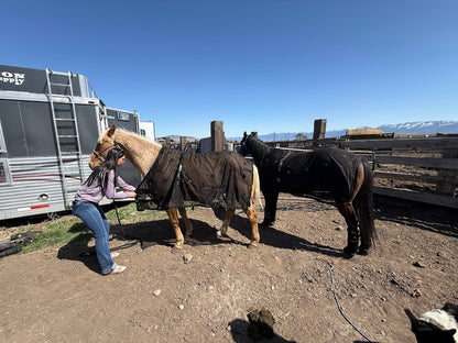 Rejuvenate SmartScrim