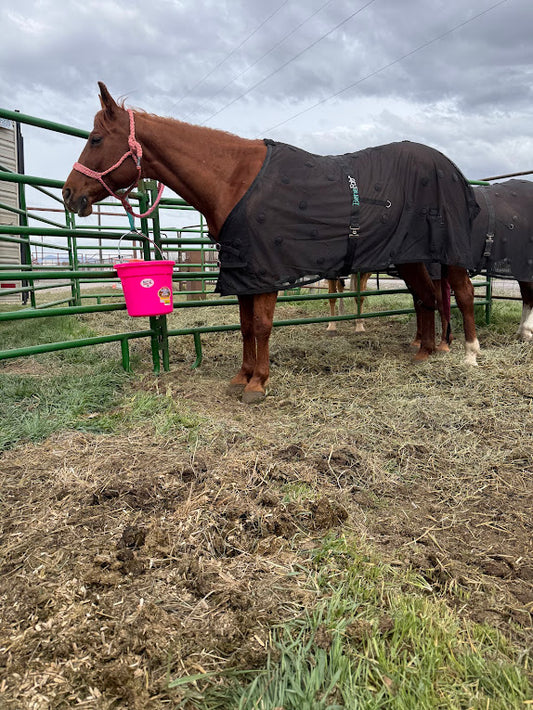 Rejuvenate SmartScrim