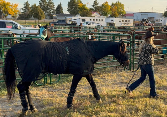 Rejuvenate SmartScrim