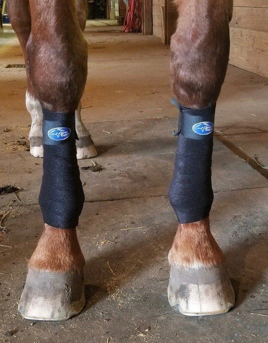 RECOVER Polo Wraps powered by Inteq