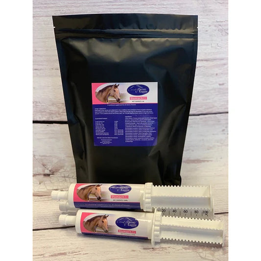 Stomach Ez - Gastric Ulcer Treatment Bundle